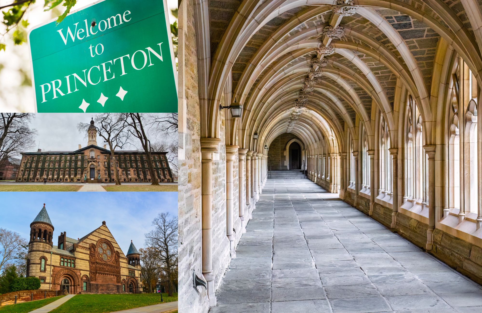 Princeton 
